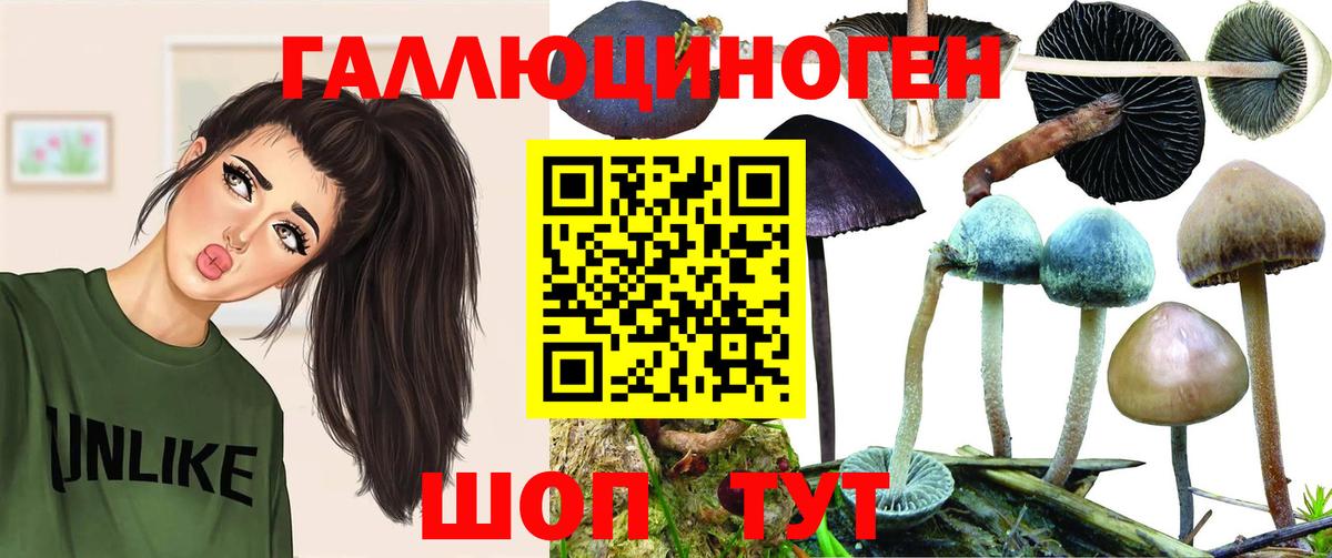 Галлюциногенные грибы ЛСД Электрогорск